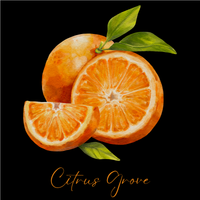 Citrus Grove