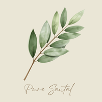 Pure Santal